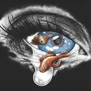 Meet your Posher, Todd